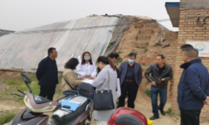 澄城县农业农村局农检中心：强化农药残留抽检，保障农产品质量安全