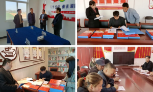 咸阳市委组织部到长武县亭口镇考评验收省、市级标准化示范村