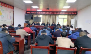镇巴县赤南镇召开“十四五”巩固拓展脱贫攻坚成果同乡村振兴有效衔接规划项目审定会议