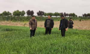 澄城县农业农村局种子站：双管齐下 备耕待播夺丰收