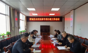 澄城县召开农村改革专项小组第一次会议
