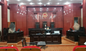 紫阳法院:耐心调解促疏矛盾，兢兢业业护小家