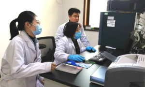 铜川市粮油质检站在全国粮食质量监测机构比对考核中获佳绩