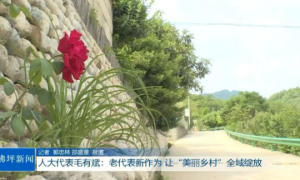 老代表新作为 让“美丽乡村”全域绽放——佛坪县人大代表毛有斌