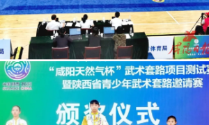 咸阳市体育局：以赛代练，十四运会武术套路项目测试赛圆满落幕?