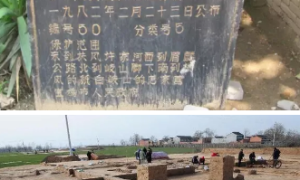 宝鸡各大景区同台争锋推介，岐山大放异彩就等你来！
