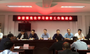汉中市汉台区徐望镇召开党史学习教育工作推进会
