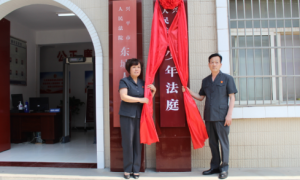 兴平法院举行少年法庭揭牌仪式