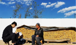 神木市高家堡镇：牢记驻村初心 扎实为民服务