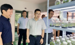 安康市科技局党组书记、局长张志群赴镇坪县调研科技创新工作