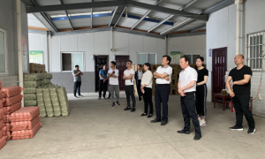 勉县新街子镇：凝聚智慧力量，筑牢基层堡垒