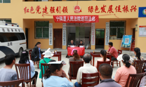 宁陕县法院：巡回审判进乡村 41件劳动报酬一次性化解