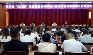 西乡县召开“无欠薪”县创建暨农村劳动力就业信息动态监测工作推进会