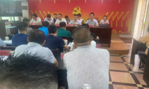 勉县老道寺镇召开重点工作推进会