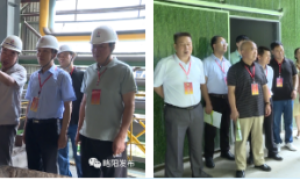 略阳县政协委员会召开略阳高质量开局“十四五”座谈研讨会