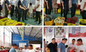 扶风县人社部就业促进司副司长运东来一行来段家镇苏陕鑫艺仿真花村镇工厂实地调研