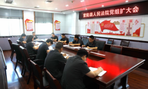 紫阳法院：召开队伍教育整顿专题党组（扩大）会议