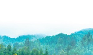 积极应对人口老龄化 促进人口均衡发展 ——全国政协专题协商会发言摘编