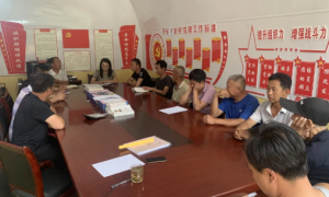 子长市涧峪岔镇：坚持“三个结合”，推动党史学习教育见实效