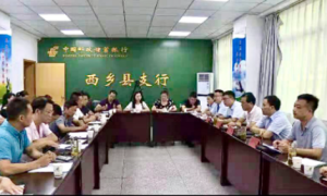 西乡县：深化政银企协作，全面推进乡村产业振兴