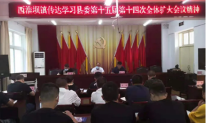 略阳县西淮坝镇：以“五学”贯彻落实县委十五届十四次全会精神