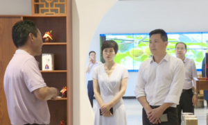 西乡县上领导调研督导重点项目、“4111”工程及疫情防控工作