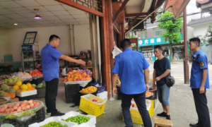 汉中市汉台区武乡镇：坚持问题导向，推进国卫复审反馈整改