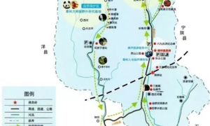 镜头中的“佛坪蓝”，你心动了吗？