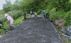 平利县八仙镇：产业路铺就百姓“致富路”