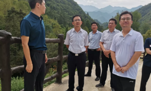 史邦俭调研乡村振兴示范村建设