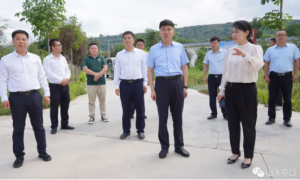 长武县县长温志刚到亭口镇检查调研农业产业发展