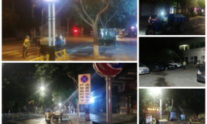 白水县住建局：开展苗木病虫害防治  共创生态园林县城