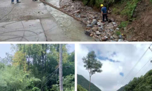 干群一心 共度难关——山阳县小河口镇灾后恢复重建工作有序开展