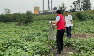 韩城市西庄镇：不忘初心强党性 巡河护河“我”先行