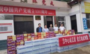 勉县茶店镇：党群一条心 一线见真情