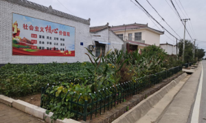 彬州市北极镇：人居环境大整治，共建美丽文明新家园