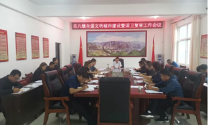 志丹县旦八镇：全力以赴做好“创文”“创卫”工作