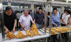 安康市召开2021年新烟样品审定会