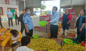 大荔县市场监管局：开展冬枣市场专项检查，从源头保障冬枣质量安全