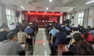 渭南市大荔县两宜镇：牢记初心践使命  履职担当有作为