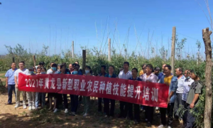 黄龙县界头庙镇：党建聚合力 民生更幸福