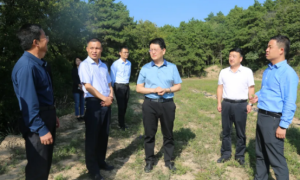 黄龙县委书记李富荣调研巩固脱贫攻坚成果同乡村振兴有效衔接等工作
