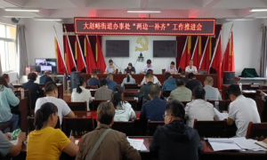 商洛市商州区大赵峪街道：加强政治业务学习，不断提升履职能力