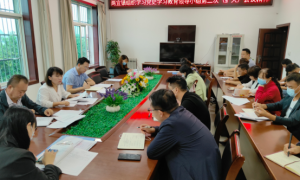 大荔县两宜镇：党史引向深入 重点工作持续用力