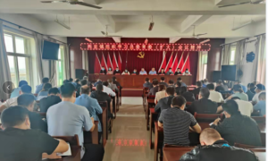 大荔县两宜镇组织学习县委常委（扩大）会议精神