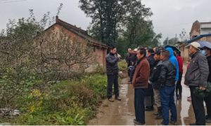 长武县相公镇：加强抢墒秋播    提高秋收质量