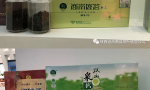 陕西省商南县茶叶联营公司：双山茶叶与您相约第28届杨凌农高会！