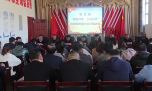 子长市安定镇：举行“提档升级 示范引领”党建现场推进会