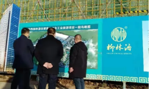 凤翔区委常委、政法委书记郭亚波一行督导检查柳林镇平安建设工作