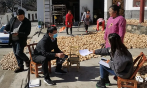 丹凤县峦庄镇：拓展脱贫攻坚成果，接续推进乡村振兴